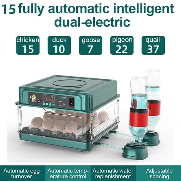 Ägginkubator, Automatisk Temperaturkontroll, Justerbart Avstånd,15 Ägg