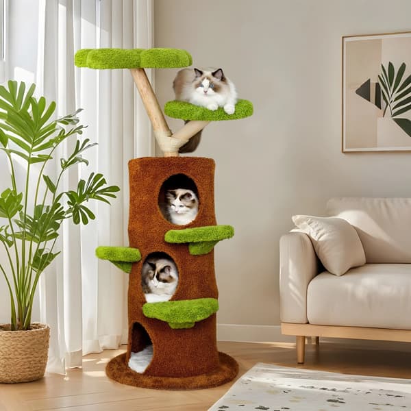 Kattetårn, Multi-niveau Design, Holdbare Materialer, Grøn  Brun
