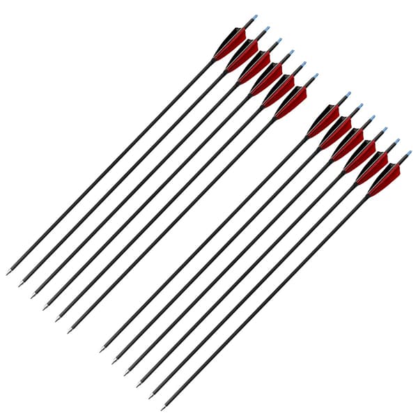Jagtpile, Carbonfiber, 30 Tommer Længde, 12pcs