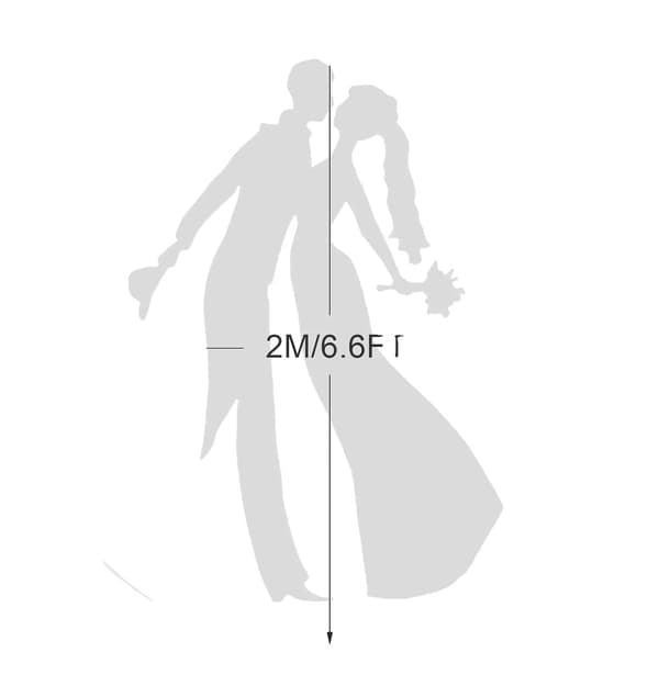 Bryllupsbue, Ekstra-Stor Design, Alsidig til Begivenheder, 1stk Hvid, 2m/6.6FT-a