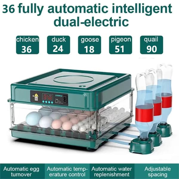 Ägginkubator, Automatisk Temperaturkontroll, Justerbart Avstånd,36 Ägg