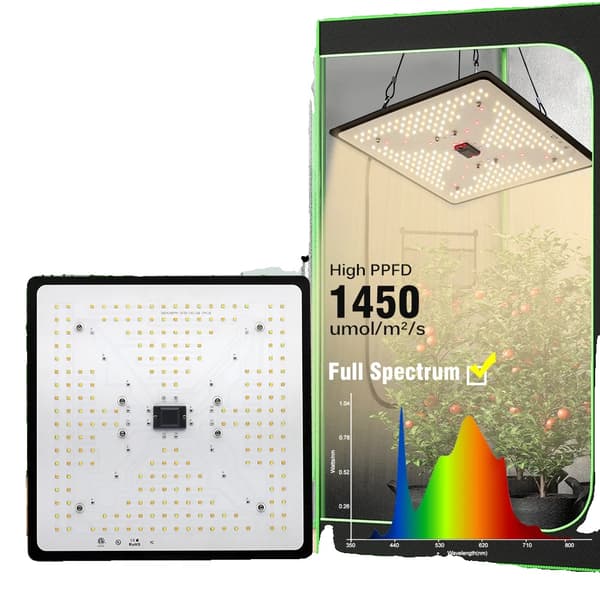 Fullspektrum LED-växtljus, dimbart, LM301H LED-chips, 100W