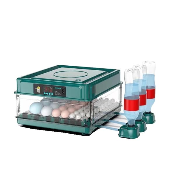 Ägginkubator, Automatisk Temperaturkontroll, 36 Ägg Kapacitet, 36 ägg EU kontakt 220v