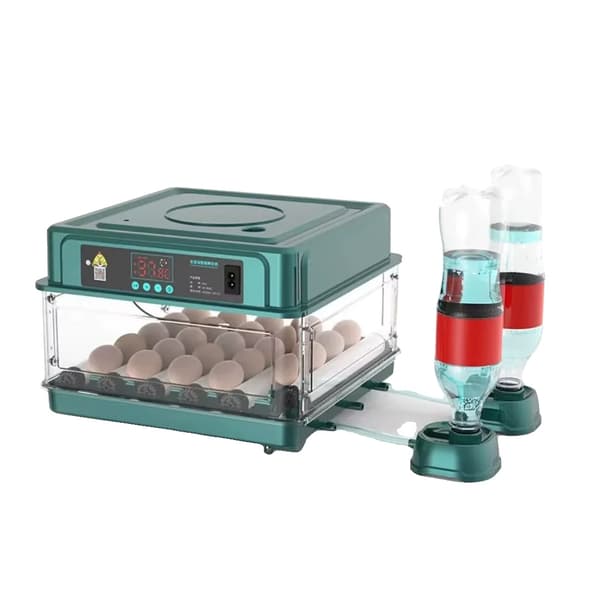 Ägginkubator, Automatisk Temperaturkontroll, 36 Ägg Kapacitet, 24 ägg EU kontakt 220v