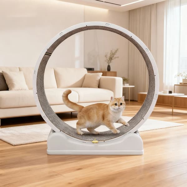 Kattträningshjul, Tyst drift, Säker broms, Grå