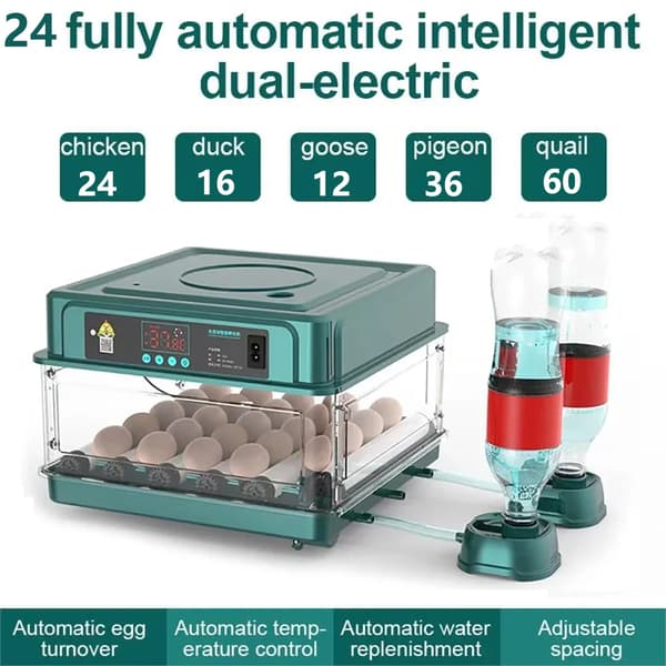 Ägginkubator, Automatisk Temperaturkontroll, Justerbart Avstånd,24 Ägg
