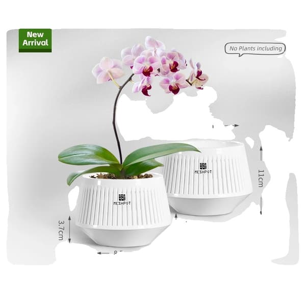 Orkidepotte, Luftbeskæring Design, Moderne Æstetik, Hvid-2 stk 12cm