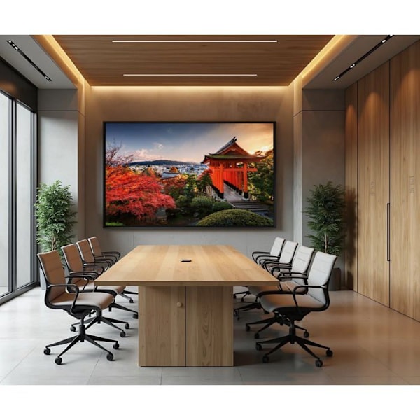 Stort PC-skærm | 55" | IPS | 4K UHD