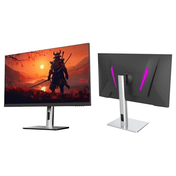 PC Gaming Monitor | 24,5" | IPS | Full HD | 500Hz | USB-C (+65W laddning)