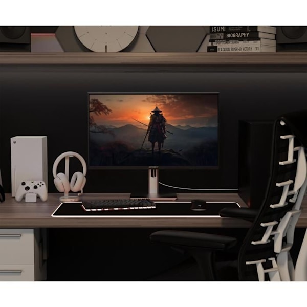 Gaming PC Skærm | 24,5" | IPS | FHD | 320Hz | HSP