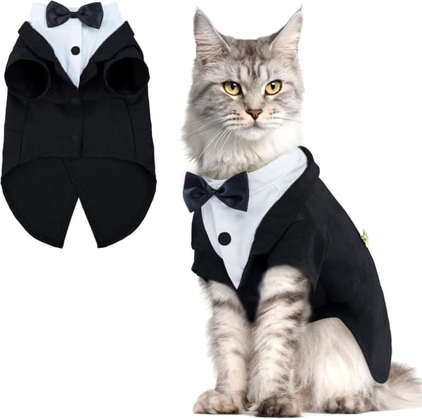 Katte-smoking, formel kattedragt Black M
