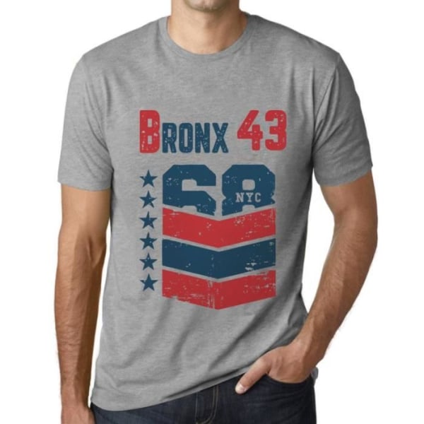 T-shirt herr Bronx 43 T-shirt vintagegrå Ljunggrå