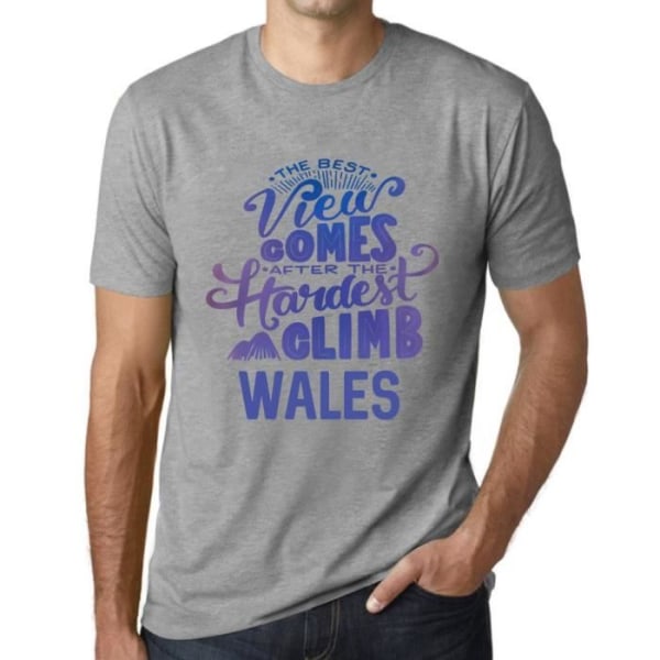 T-shirt herr Den bästa utsikten kommer efter den svåraste klättringen i Wales – Den bästa utsikten kommer efter den svåraste Ljunggrå