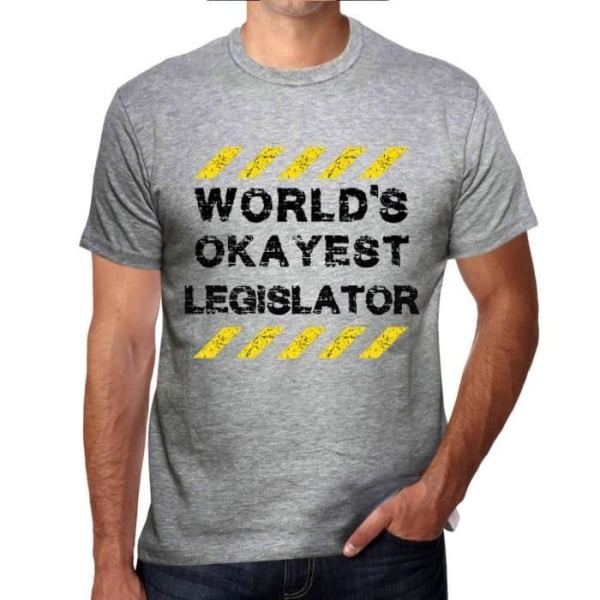Världens bästa lagstiftare T-shirt för män – Världens bästa lagstiftare – Vintage grå T-shirt Ljunggrå