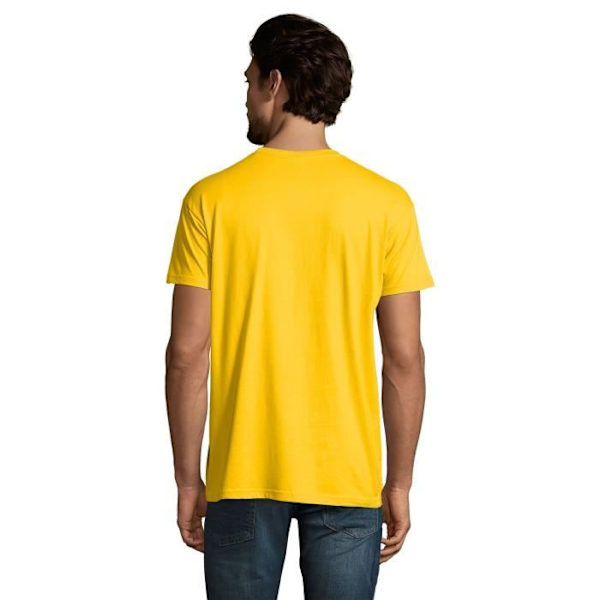 T-shirt herr Straight Outta Parramatta – Straight Outta Parramatta – Vintage T-shirt Gul XXXXL