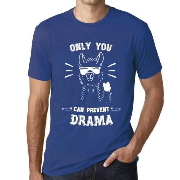 T-shirt herr Endast du lama kan förhindra drama – Endast du lama kan förhindra drama – vintage t-shirt Kunglig