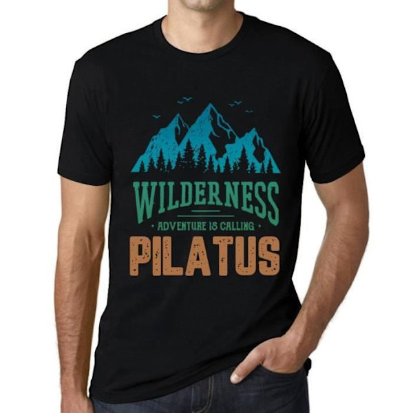 Wild Nature T-shirt herr Adventure Calls Pilatus – Wilderness, Adventure is Calling Pilatus – Vintage svart T-shirt djup svart XXXXL