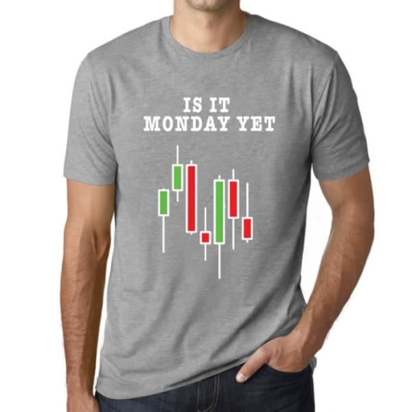 T-shirt herr Det är redan måndag Börshandlare – Är det måndag än Börshandlare – Vintage grå T-shirt Ljunggrå