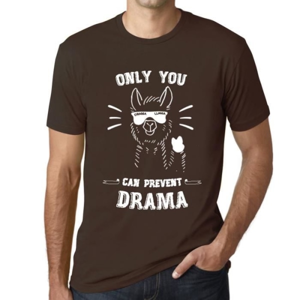 T-shirt herr Endast du lama kan förhindra drama – Endast du lama kan förhindra drama – vintage t-shirt Choklad