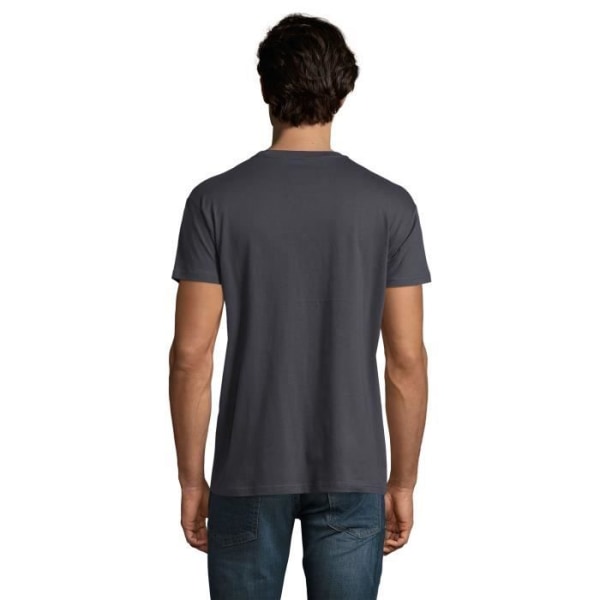 T-shirt herr Inspired By Comics - Ruler Of Bird-Men – Inspired Comics Shirt - Ruler Of Bird-Men Mus grå