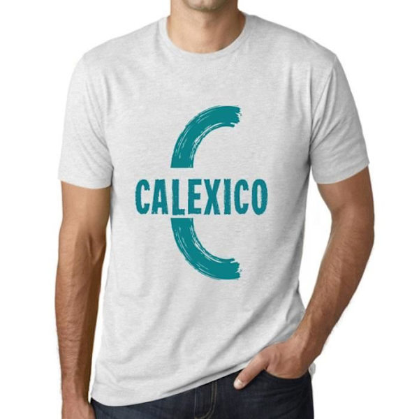T-shirt - ULTRABASIC - Calexico - Vintage - 100% Bomull - Korta Ärmar - Grå Vit Ljungvit XXXXXL