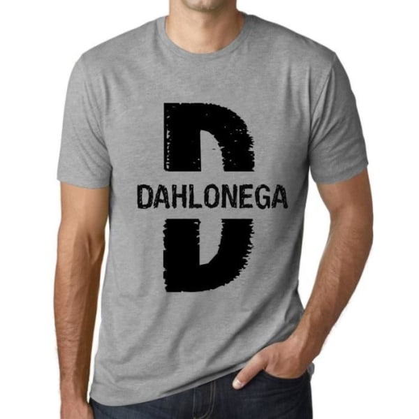 Herr T-shirt Dahlonega Vintage T-shirt Grå Ljunggrå