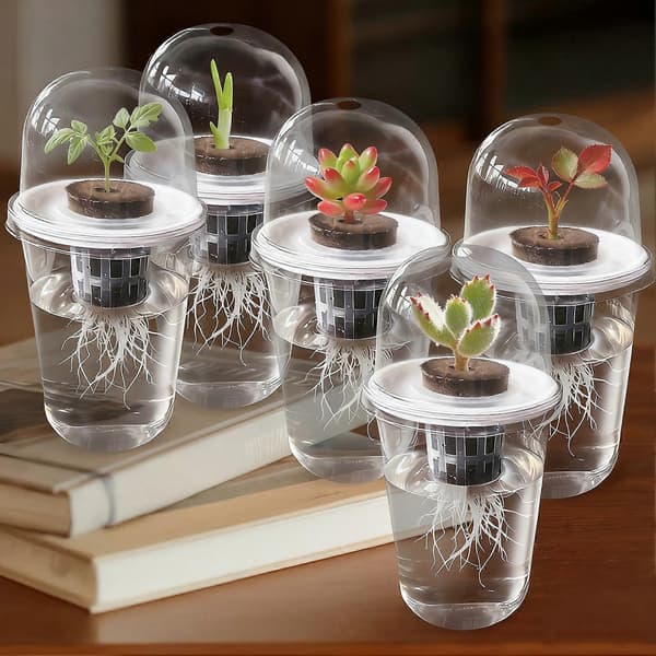 1/10 stk. hydroponisk kop med kuppel til kimplanter og planteformering 2pcs