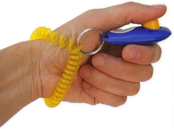 Klicker för hundträning med handledsrem, svart/blå