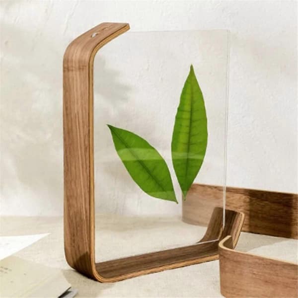 15 cm Akryl Trä Fotoram Herbarium Display Bildram, B