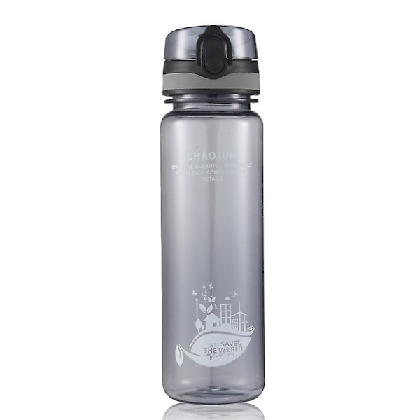 JUSCH Stor kapacitets kop, bærbar frostet transparent rumkop, stor udendørs sports vandkop kedel grå transparent 350ml(WZ2015),QINWEI-350