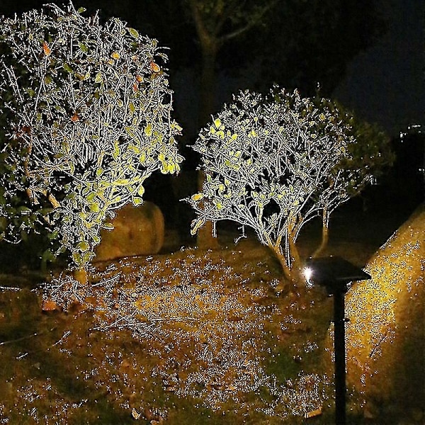 Aurinko LED-valo ulkokäyttöön Ip65 vedenpitävä säädettävä aurinkospotti maisemointiin puutarhaan, ulkoseinävalo aurinkokennovalo (Koko, väri: 2kpl-20le