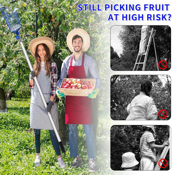 Universell fruktplockare för att plocka äpplen och mango Blue