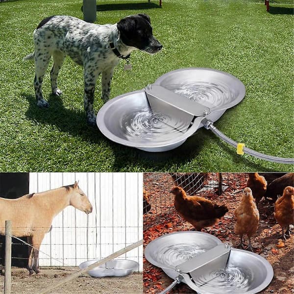 2 Gallon Stor Automatisk Stor Hund Vattendispenser Flottörventil Kit