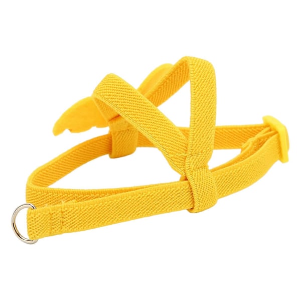 Elastisk træningsline til papegøjer S 32cm / 12.6in - Fuglesele Flyveguide Line