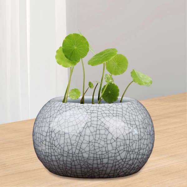 Rund Mini Keramikkbolle Lotusplanter med Glasur for Pennywort E