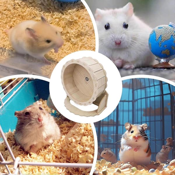 Hamsterhjul med tystgående tallrik, kullagerteknik och tippskyddad bas
