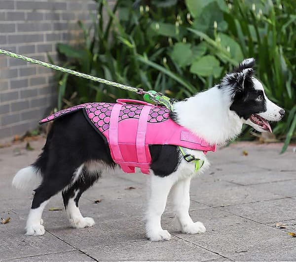 Justerbar Flytevest for Hund