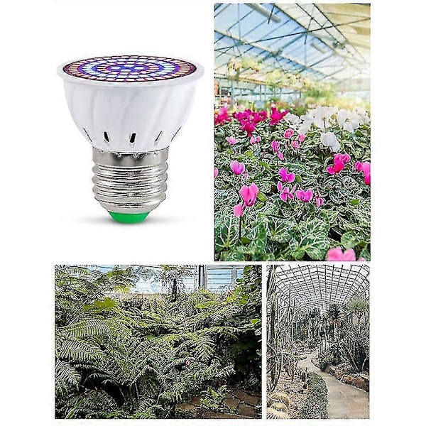E27 80 Ledin Kasvilamppu Led Täyden Spektrin Kasvuvalo Siementaimille Kukka-Fytolamppu Sisähydroponiikkaan