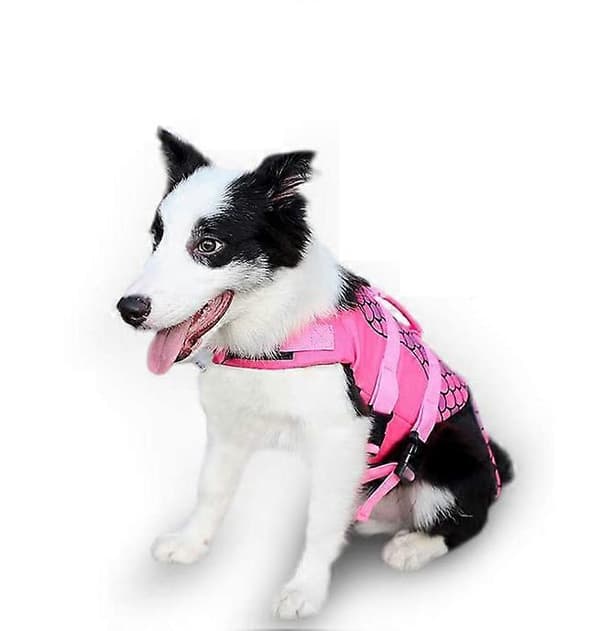 Justerbar Flytevest for Hund
