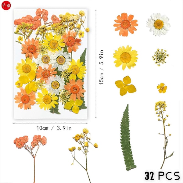 33 stk. Assorterede ægte pressede tørrede blomster, pressede blade til harpiks smykker, vedhæng, etuier, kunst og håndværk, DIY bogmærker, kunst blomsterdekoration, orange