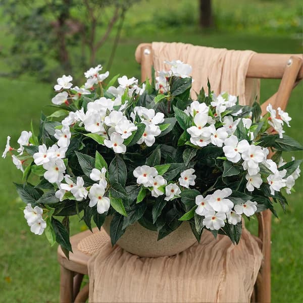8 bunter utendørsblomster – UV-bestandige impatiens Red