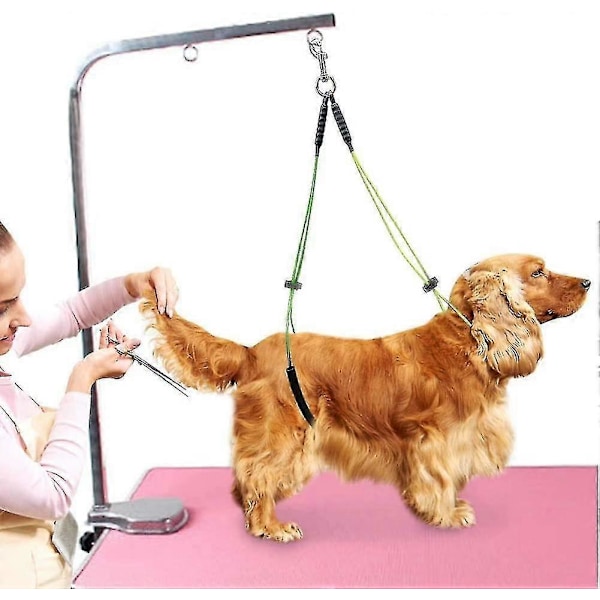 Pälsvårdsbord Rep Pälsvårdsband Hals- och Hasthållare Hundvårdsspänne Gul+grön