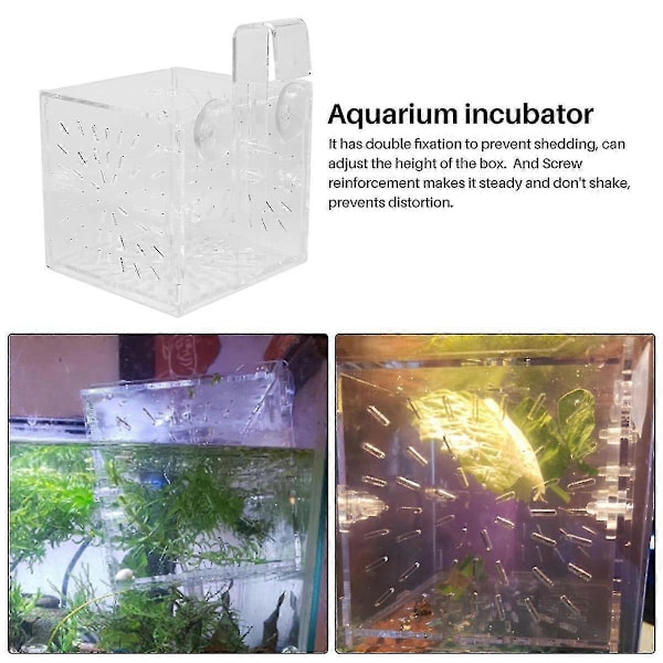 Akvarium Uppfödnings Isolationsbox Partition Inkubator Akryl Transparent Akvarium Inkubator Rack (10x10x10cm)