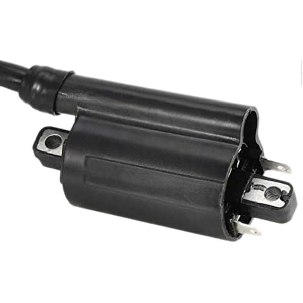 2x Moottoripyörän sytytyspuolat sopivat malleihin Gs125 Gn125 Vx250 Virago 1100 Xv1100 Xv-1100 1995-2007 uusi S20