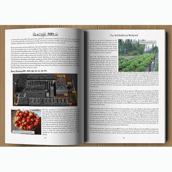 The Self-Sufficient Backyard Paperback (Paperback-udgave)