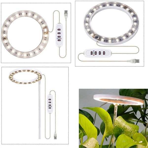 LED Växtlampa Fullspektrum Phyto Växtlampa USB Ängelringlampa för Suckulenter, Blommande Växter