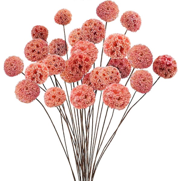 24 stk. Tørrede Craspedia Billy Balls Blomster, 18 Naturlige Tørrede Blomster Buket til Vase Blomsterarrangementer Bryllupsbord Midterstykker Fest DIY Hjem De