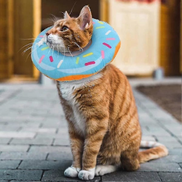 Kattåterhämtningskrage i Donut-form, 3 Storlekar Tillgängliga