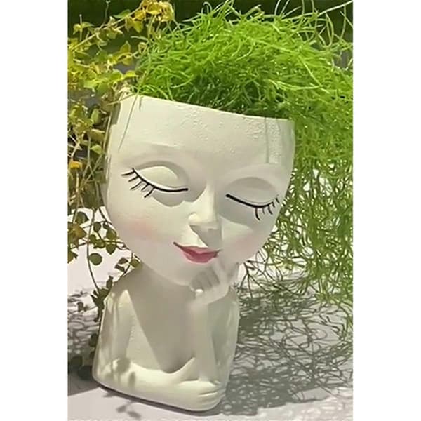 Söt Blomkruka/Ansikte Blomkruka, För Inomhusväxter Vit