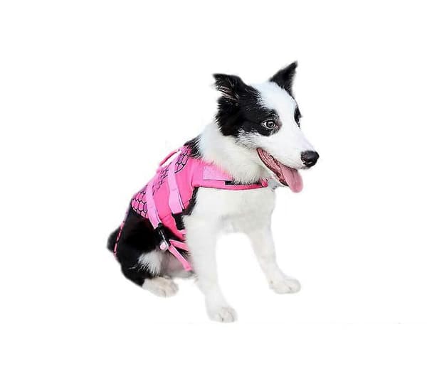 Justerbar Flytevest for Hund